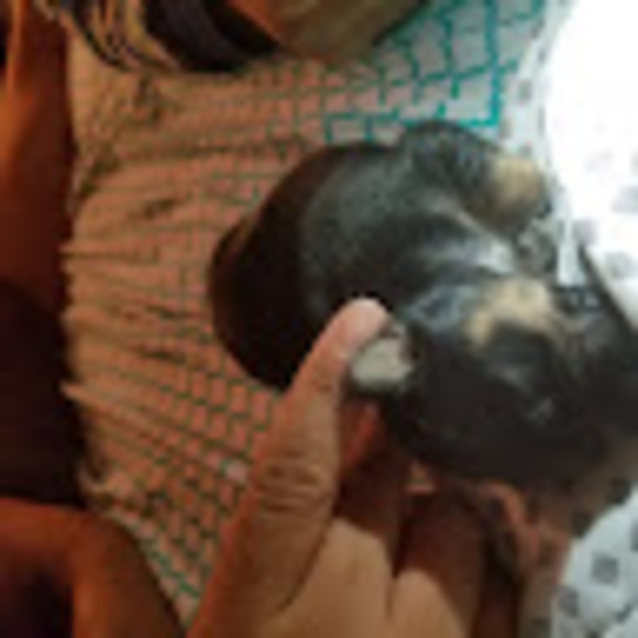 Meet your Posher, Kassies - Picture 1 of 1